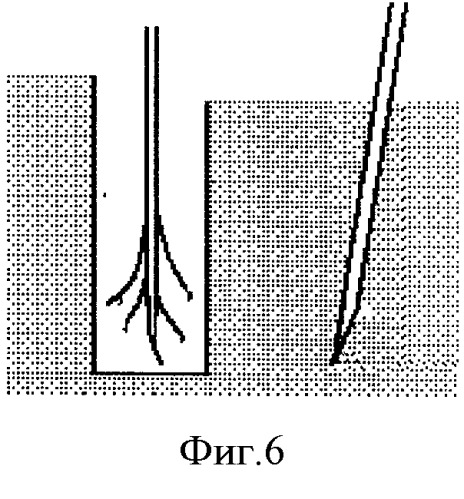 Устройство для посадки саженцев лесных культур (патент 2504137)