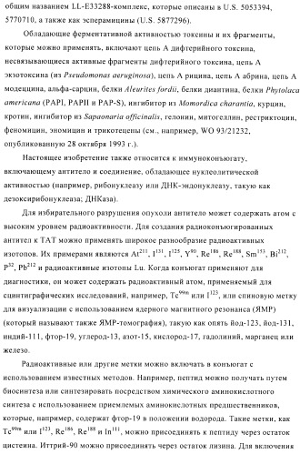 Композиции и способы диагностики и лечения опухоли (патент 2423382)