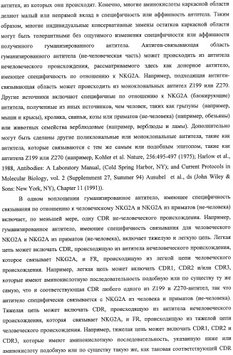 Моноклональные антитела против nkg2a (патент 2481356)