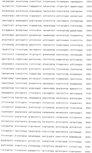 Фитаза, ее применение, корм и кормовая добавка для животных, содержащие ее (патент 2567000)