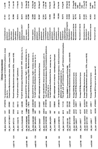 Гены corynebacterium glutamicum, кодирующие белки метаболических путей (патент 2306339)