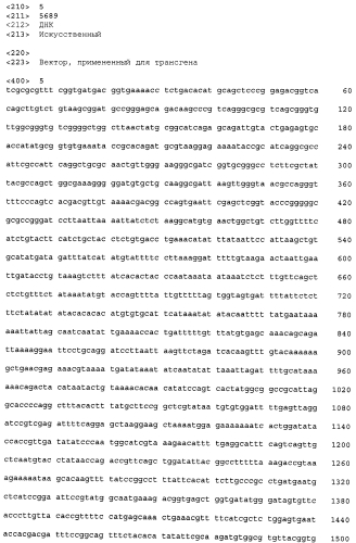 Трансгенное животное, отличное от человека, и его применения (патент 2579701)