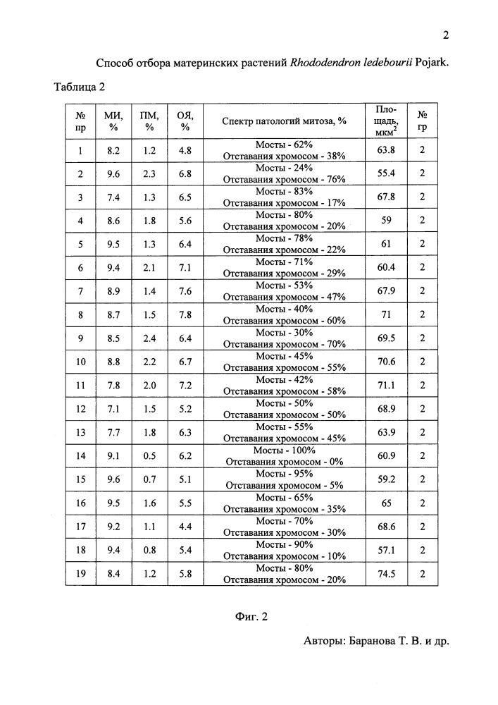 Способ отбора материнских растений rhododendron ledebourii pojark., продуцирующих семенное потомство с разным уровнем стабильности генетического материала (патент 2662650)