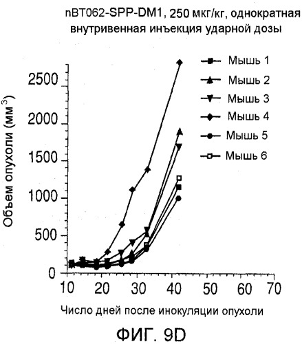 Агенты против клетки-мишени, нацеленные на cd138, и их применение (патент 2537265)