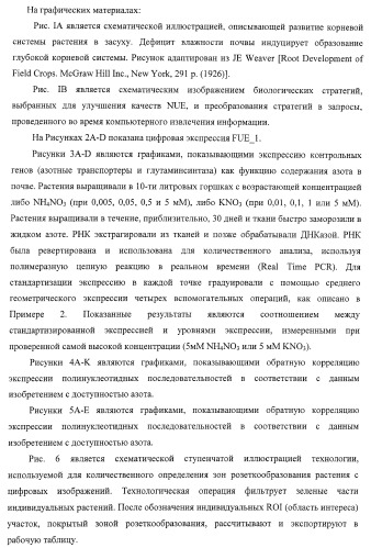 Изолированные полипептиды, кодирующие их полинуклеотиды, экспрессирующие их трансгенные растения и способы их использования (патент 2425151)