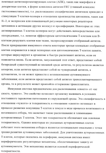 Терапевтические связывающие молекулы в виде химерного антитела (патент 2405790)