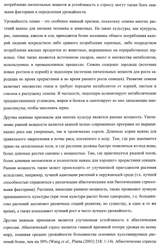 Растения, имеющие улучшенные характеристики роста, и способы их получения (патент 2463352)