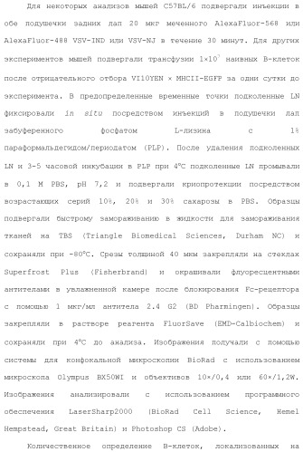 Включение адъюванта в иммунонанотерапевтические средства (патент 2496517)