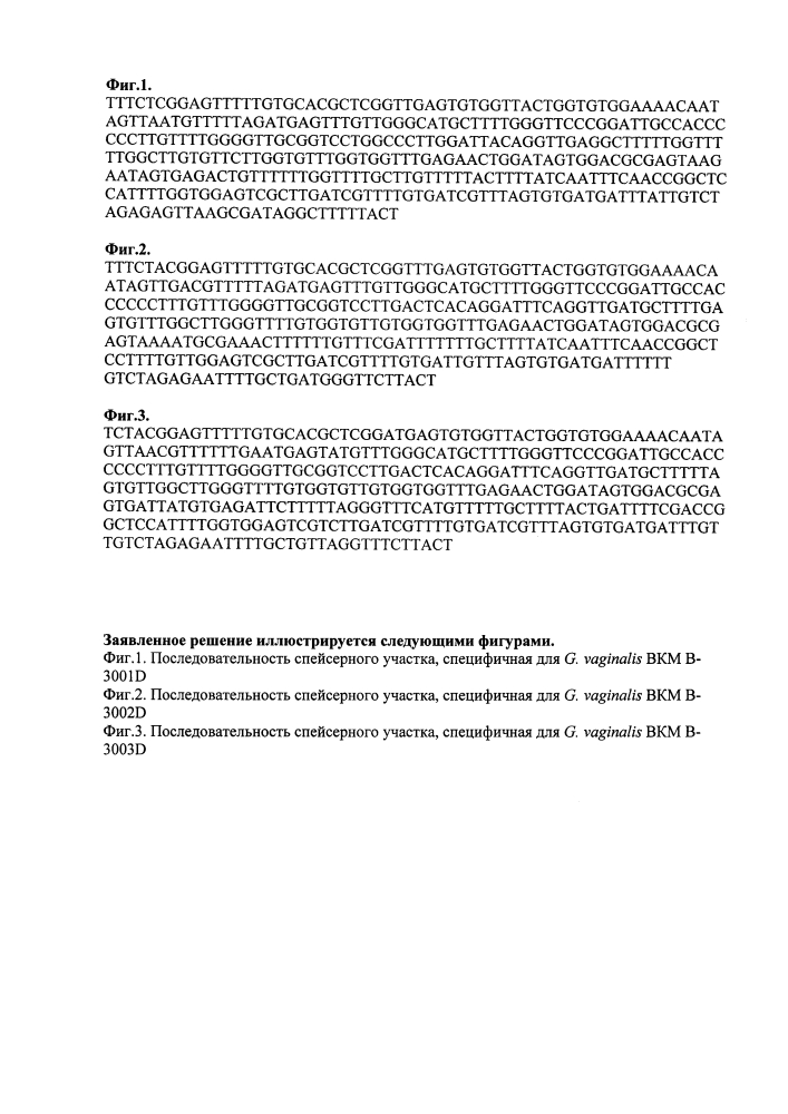 Штаммы gardnerella vaginalis (варианты), потенциально значимые для диагностики бактериального вагиноза, и включающая их коллекция штаммов для диагностики бактериального вагиноза (патент 2636005)