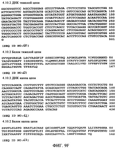 Применение антител к ctla-4 (патент 2346702)