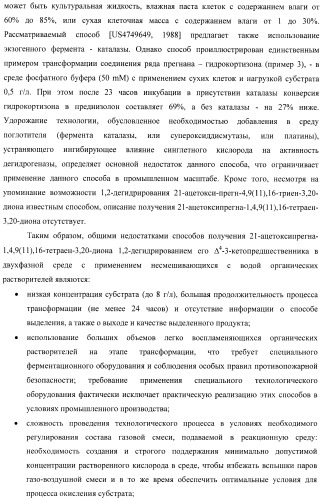 Микробиологический способ получения 21-ацетоксипрегна-1,4,9( 11 ),16-тетраен-3,20-диона из 21-ацетоксипрегна-4,9( 11 ),16-триен-3,20-диона (патент 2480475)