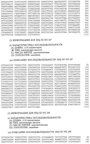 Гемопоэтический белок (варианты), последовательность днк, способ получения гемопоэтического белка, способ селективной экспансии кроветворных клеток, способ продуцирования дендритных клеток, способ стимуляции продуцирования кроветворных клеток у пациента, фармацевтическая композиция, способ лечения (патент 2245887)