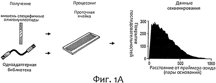 Прямой захват, амплификация и секвенирование днк-мишени с использованием иммобилизированных праймеров (патент 2565550)