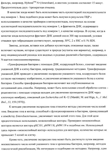Способ получения l-аминокислот с использованием бактерии, принадлежащей к роду escherichia (патент 2312893)