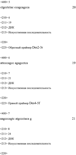 Набор синтетических олигонуклеотидов для определения нуклеотидной последовательности кодирующей части гена des и выявления мутаций, ассоциированных с десминовыми кардиомиопатиями (патент 2556832)