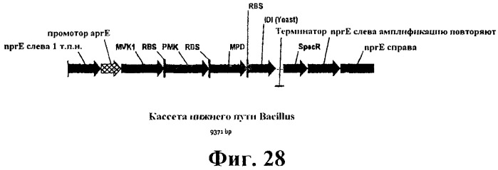 Композиции и способы получения изопрена (патент 2545699)