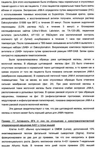 Новые антипролиферативные антитела (патент 2451689)