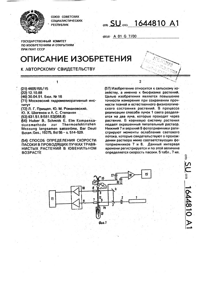 Способ определения скорости пасоки в проводящих пучках травянистых растений в ювенильном возрасте (патент 1644810)