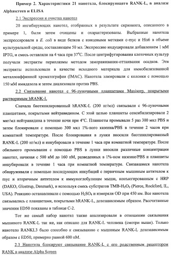 Аминокислотные последовательности, направленные на rank-l, и полипептиды, включающие их, для лечения заболеваний и нарушений костей (патент 2481355)