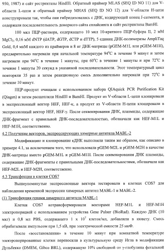 Агонистическое соединение, способное специфически узнавать и поперечно сшивать молекулу клеточной поверхности или внутриклеточную молекулу (патент 2430927)