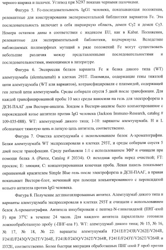 Антитело, содержащее fc-вариантную часть (варианты), фармацевтическая композиция, содержащая антитело, и способ лечения млекопитающего (патент 2390527)