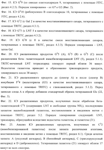 Твердофазное тегирование олигосахаридов: методика для манипуляции с иммобилизированными углеводами (патент 2398237)