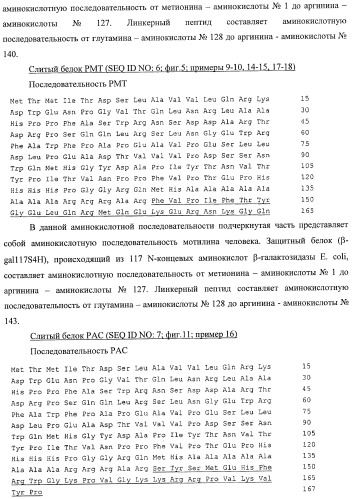 Способ расщепления полипептидов с использованием варианта протеазы оmpт (патент 2395582)