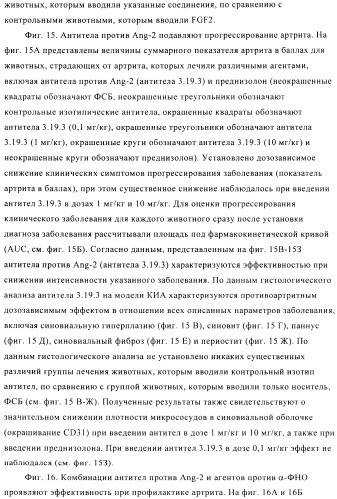 Стабилизированные антитела против ангиопоэтина-2 и их применение (патент 2509085)