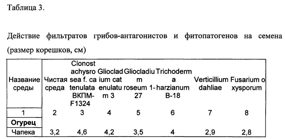 Штамм микроорганизма clonostachys rosea f. catenulata в качестве биофунгицида, стимулятора роста растений и продуцента метаболитов для сельскохозяйственного применения (патент 2644338)