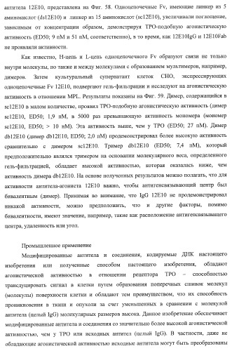 Днк, кодирующая модифицированное антитело или соединение с активностью агониста тро, способ их получения и животная клетка или микроорганизм, их продуцирующие (патент 2422528)