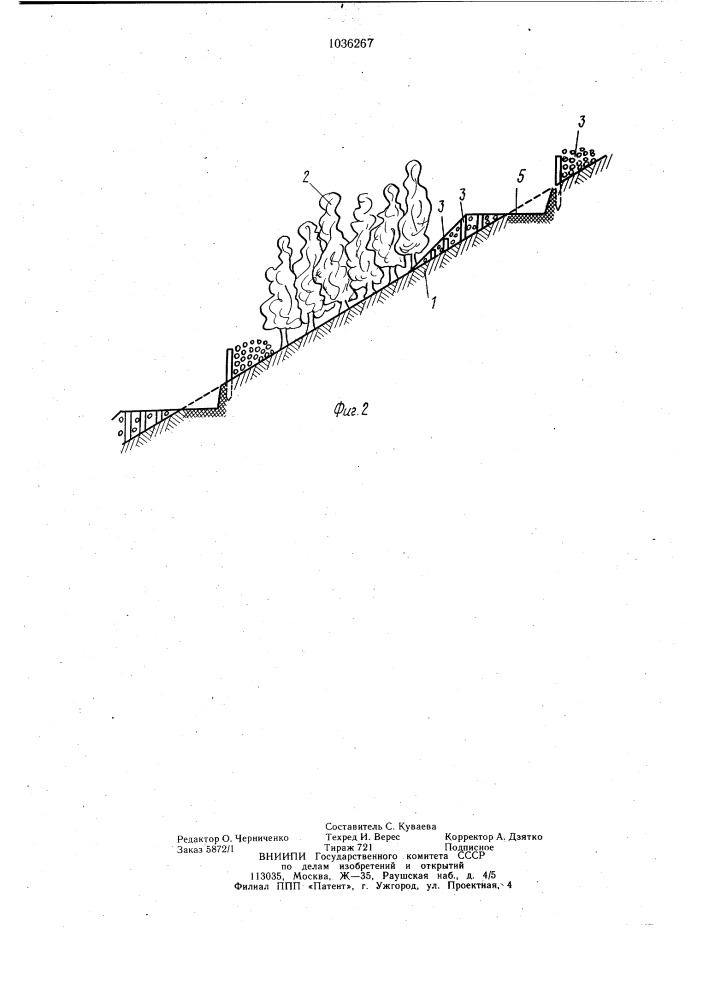 Способ рекультивации малоценных насаждений на склонах (патент 1036267)