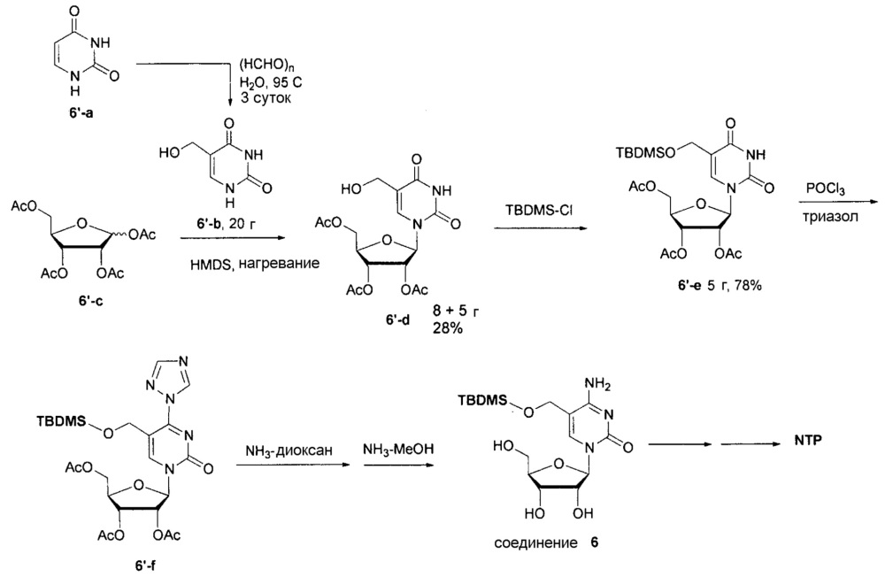 Модифицированные нуклеозиды, нуклеотиды и нуклеиновые кислоты и их применение (патент 2648950)