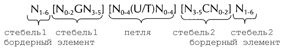 Искусственные молекулы нуклеиновых кислот для улучшенной экспрессии белков или пептидов (патент 2658490)