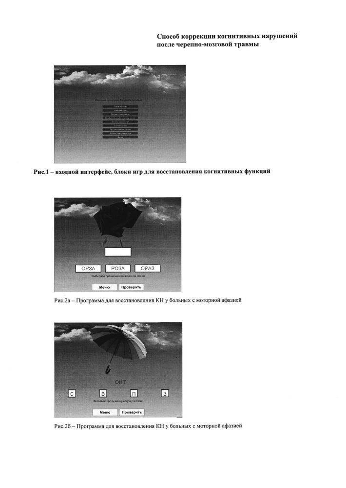 Способ коррекции когнитивных нарушений после черепно-мозговой травмы (патент 2645243)