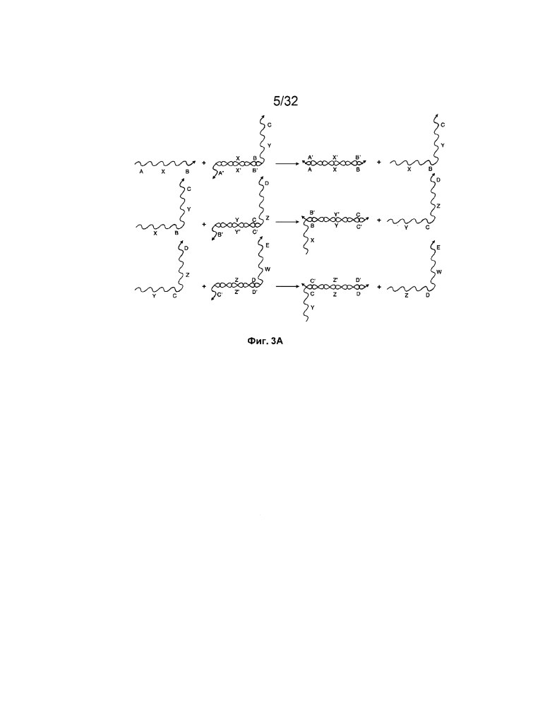 Трансляторы, изолирующие посредством чередования (патент 2653755)