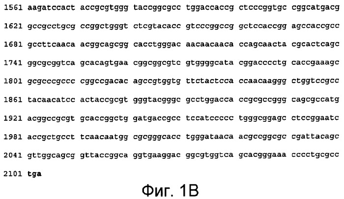 Композиции на основе полипептида  -амилазы из bacillus, вид 195, и их применение (патент 2459867)