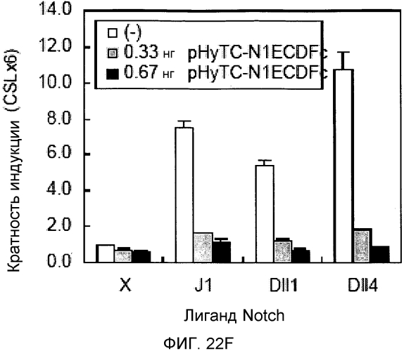 Основанные на notch3 человека гибридные белки в качестве ловушек-ингибиторов передачи сигнала notch3 (патент 2567662)