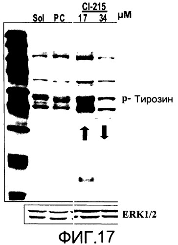 Окисленные соединения липидов и их применение (патент 2532546)