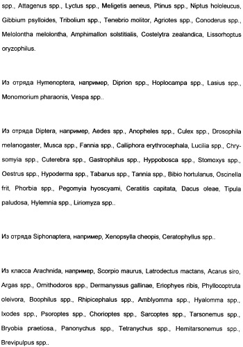 Замещенные тиазолилом карбоциклические 1,3-дионы в качестве средств для борьбы с вредителями (патент 2306310)