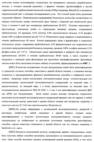 Гиалуронидаза и способ ее применения (патент 2471867)