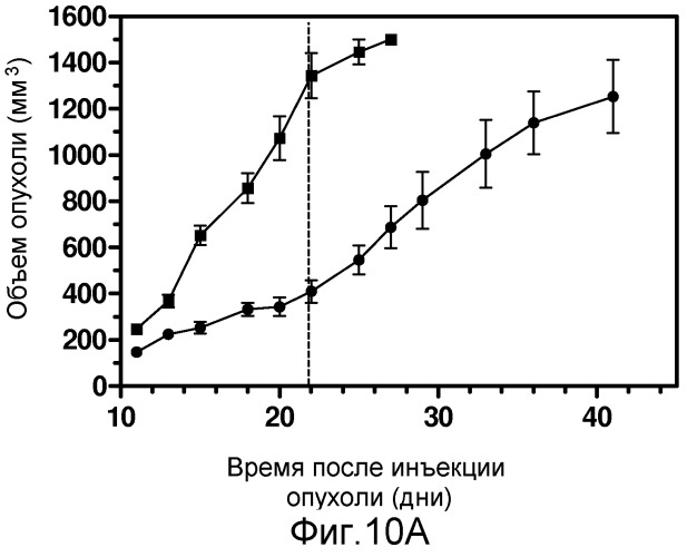 Конъюгаты, содержащие гидрофильные спейсеры линкеров (патент 2523909)
