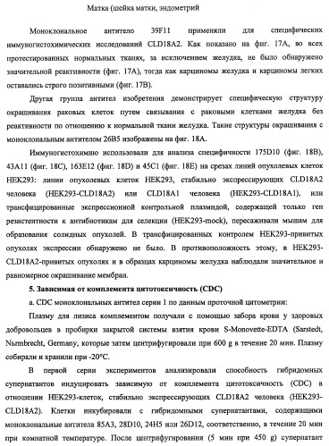 Моноклональные антитела к клаудину-18 для лечения рака (патент 2445319)