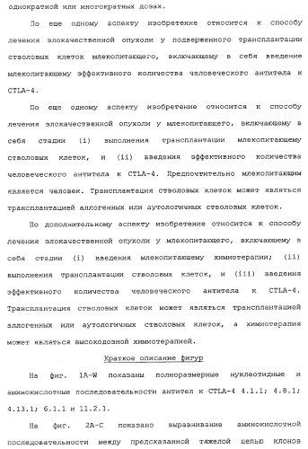 Применение антител к ctla-4 (патент 2346702)