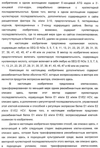 Очищенные белки оболочки вируса гепатита с для диагностического и терапевтического применения (патент 2313363)