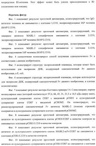 Агонистическое соединение, способное специфически узнавать и поперечно сшивать молекулу клеточной поверхности или внутриклеточную молекулу (патент 2430927)