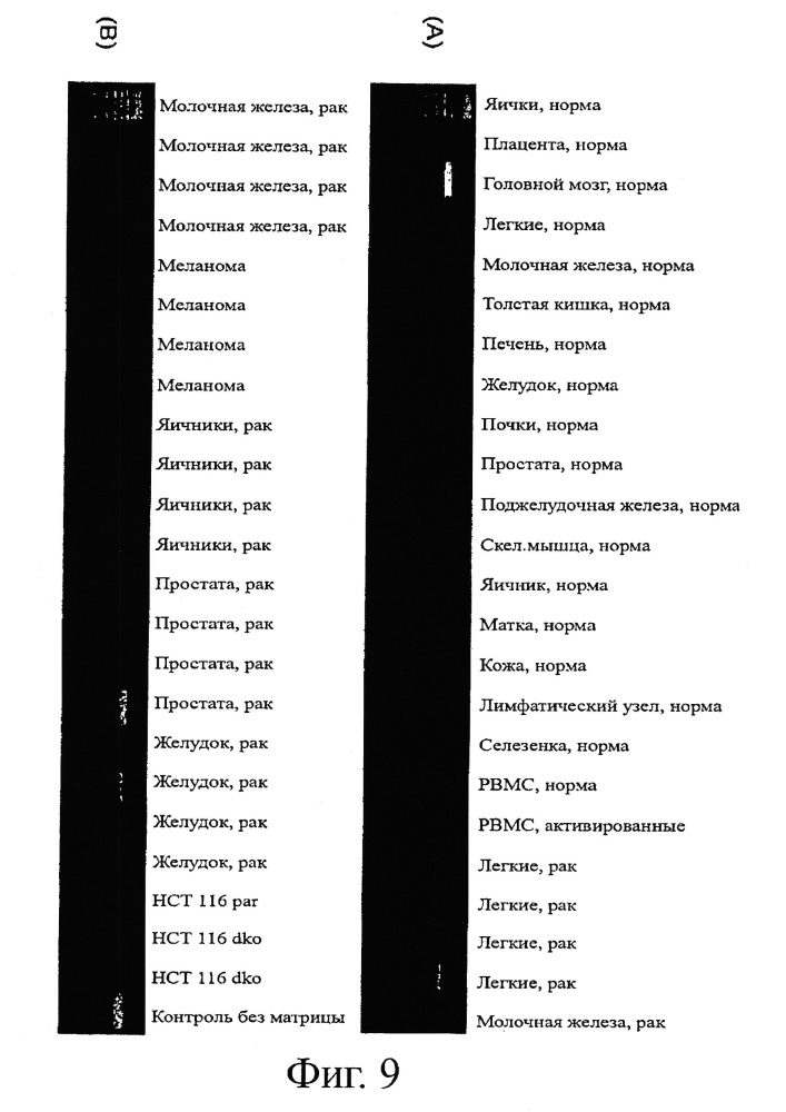 Идентификация опухолеассоциированных антигенов для диагностики и терапии (патент 2644686)