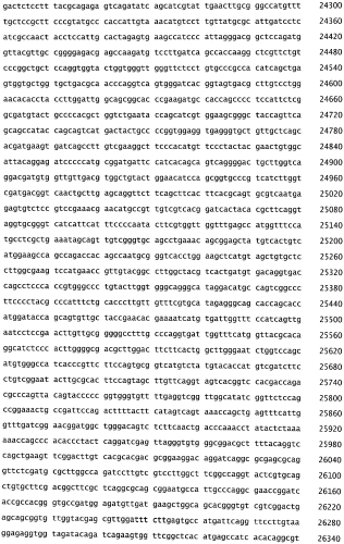 Бактериофаг, обладающий активностью против pseudomonas aeruginosa, белки бактериофага и способы их применения (патент 2580248)