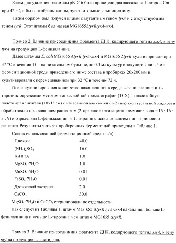 Способ получения аминокислот с использованием бактерии, принадлежащей к роду escherichia (патент 2396336)