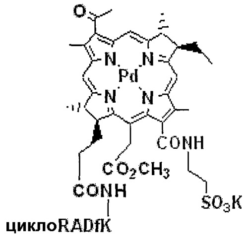 Конъюгаты rgd-пептидов и фотосенсибилизаторов порфирина или (бактерио)хлорофилла и их применение (патент 2450018)