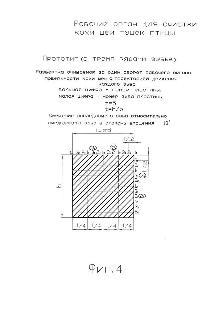 Рабочий орган для очистки кожи шеи тушек птицы (патент 2655936)